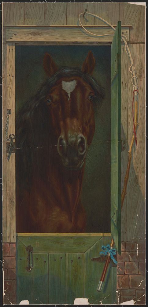 [Horse standing at stable door looking at the viewer]