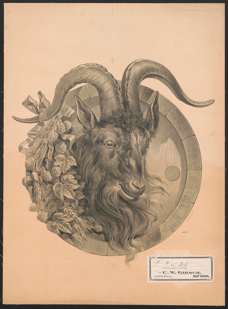 [Three-quarter profile view of goat's head, in end of a barrel, with foliage tied to its right horn], c1900