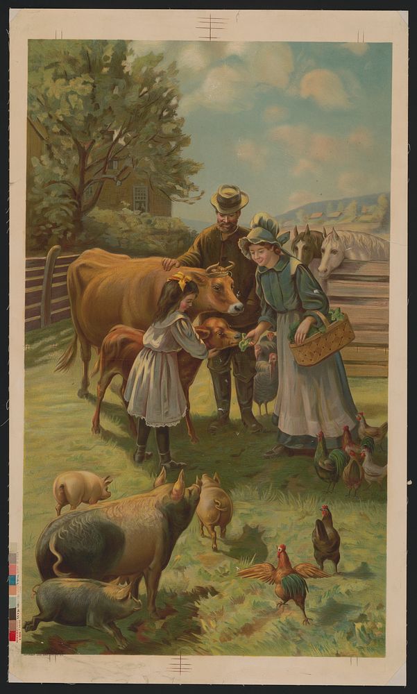 [Man, woman, and little girl feeding a calf at the farm], Gray Lith. Co., lithographer