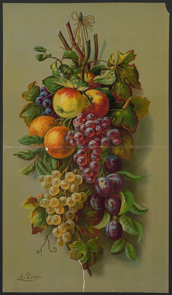 Apples, Plums & grapes, no. 8266