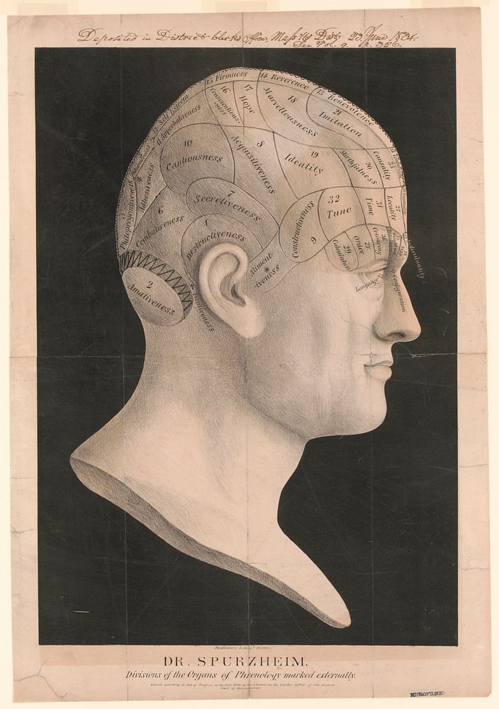Dr. Spurzheim--divisions of the organs of phrenology marked externally