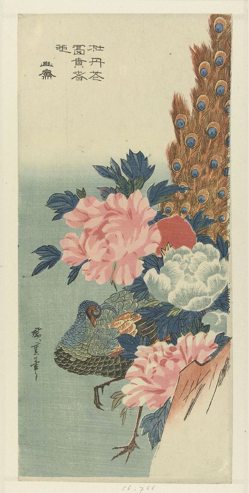 Peacock and Peonies by Utagawa Hiroshige. Original public domain image from the Rijksmuseum.