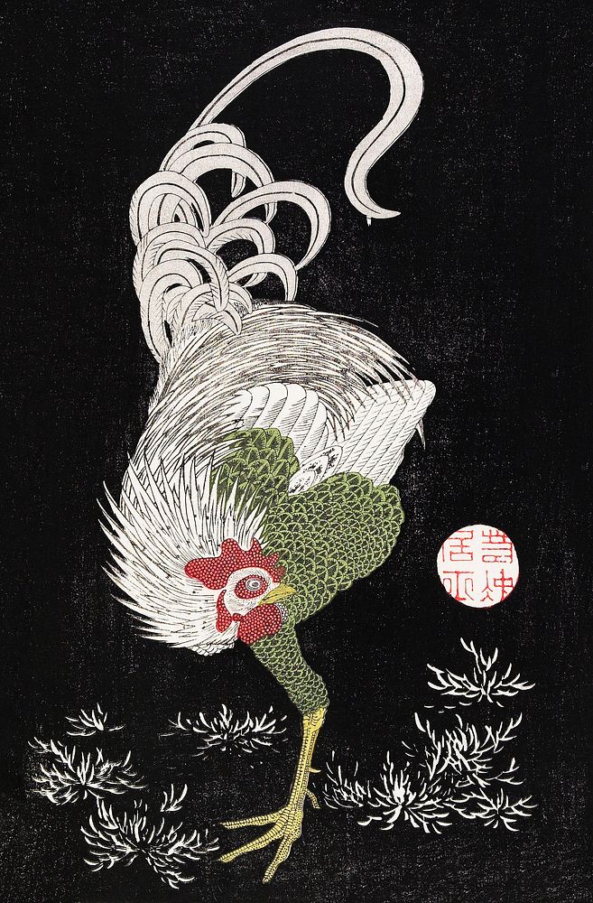 Japanese rooster (18th century) vintage art print by Itō Jakuchū. Original public domain image from the Minneapolis…
