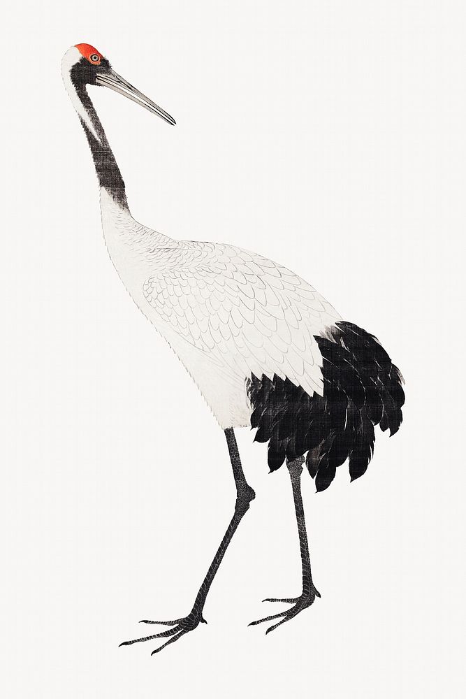 Japanese crane.   Remastered by rawpixel. 