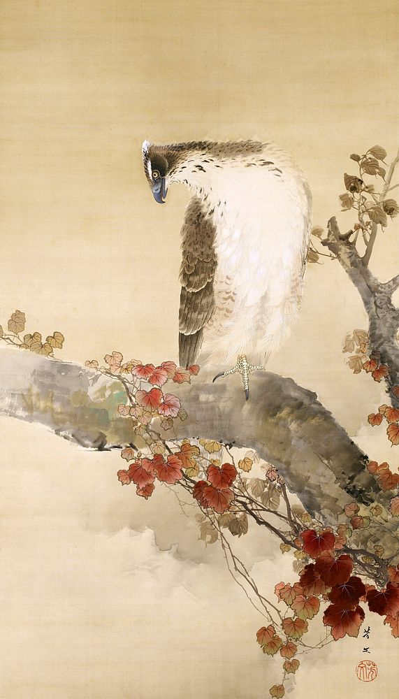 Japanese eagle on a branch (1862 - 1918) vintage ink on silk by Kikuchi Hōbun. Original public domain image from the…