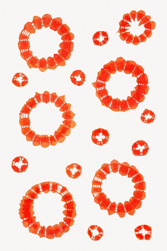 Orange circle pattern on white background psd.  Remastered by rawpixel. 