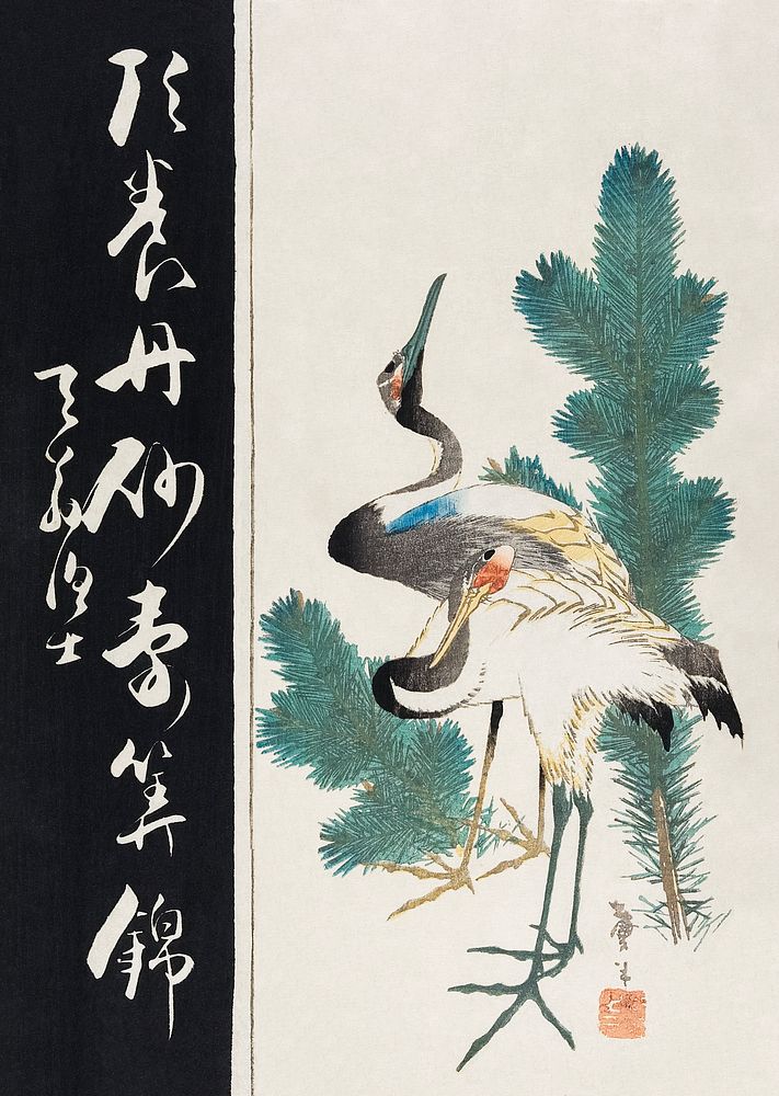 Japanese cranes and pine branch (19th century) vintage woodblock print by Katsushika Taito II. Original public domain image…