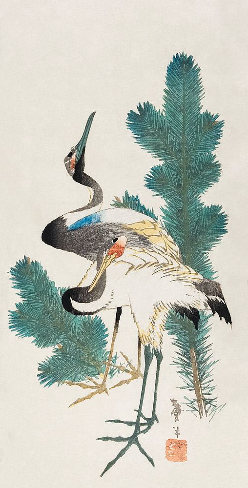Japanese cranes and pine branch (19th century) vintage woodblock print by Katsushika Taito II. Original public domain image…