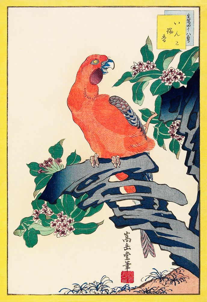 Japanese pink parrot (1859) vintage woodblock print by Nakayama Sūgakudō. Original public domain image from the Minneapolis…