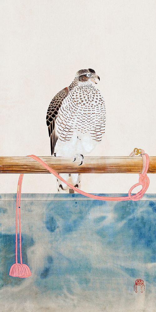 Japanese hawk (19th century) vintage woodblock print by Tosa Mitsuoki. Original public domain image from the Minneapolis…