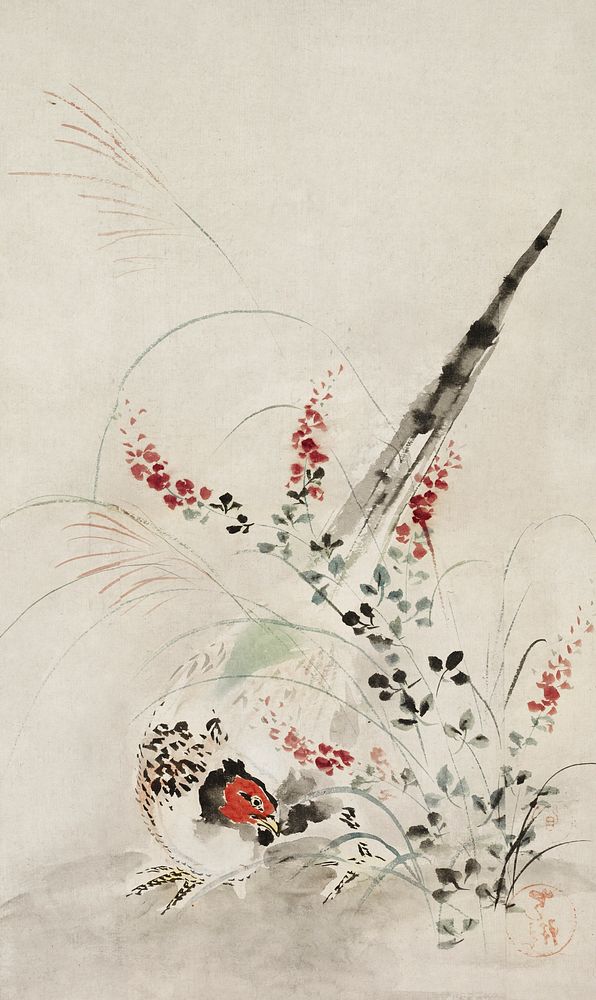Japanese pheasant and grass (1615-1868) vintage painting by Ogata Korin. Original public domain image from The Cleveland…