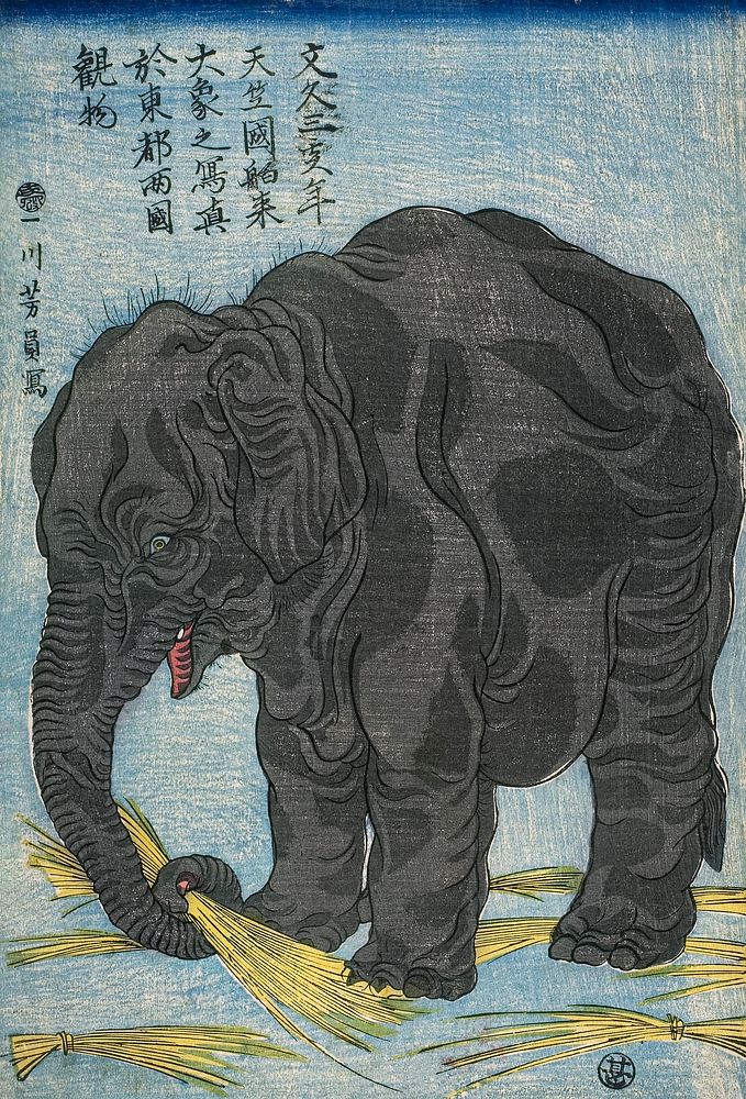 Large Indian elephant (1863) vintage Japanese painting by Utagawa Yoshikazu. Original public domain image from The Art…