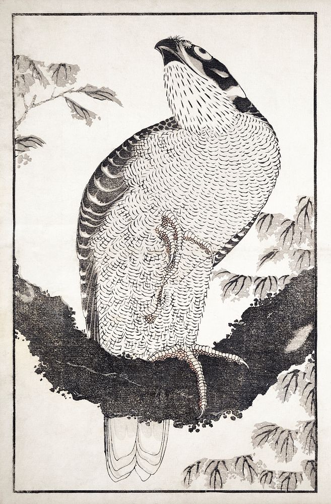 Katsushika Hokusai's bird, from Album of Sketches (1814) vintage Japanese woodblock prints. Original public domain image…
