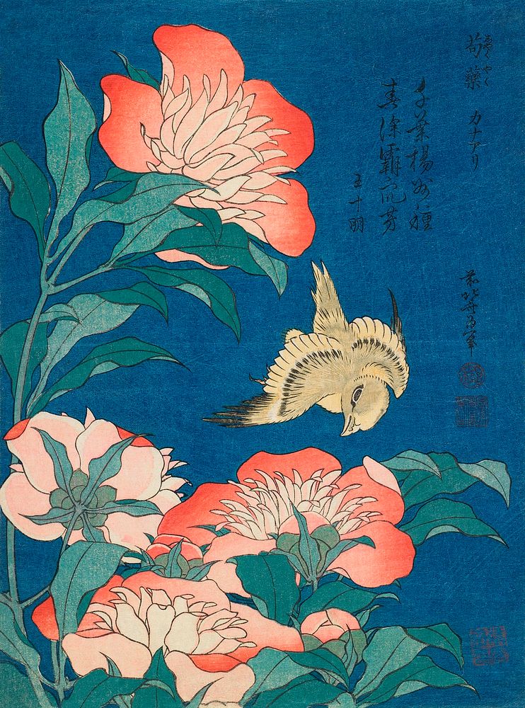 Katsushika Hokusai's peonies and canary (1834) vintage woodblock print. Original public domain image from the Minneapolis…