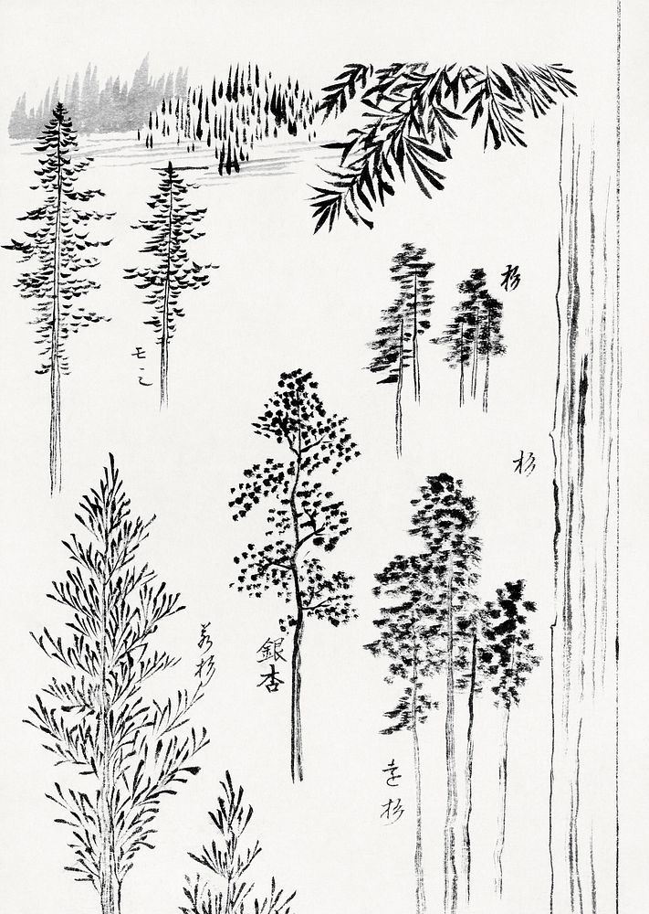 Hokusai's pine trees (1800-1900) vintage Japanese woodblock print. Original public domain image from the Rijksmuseum.  …