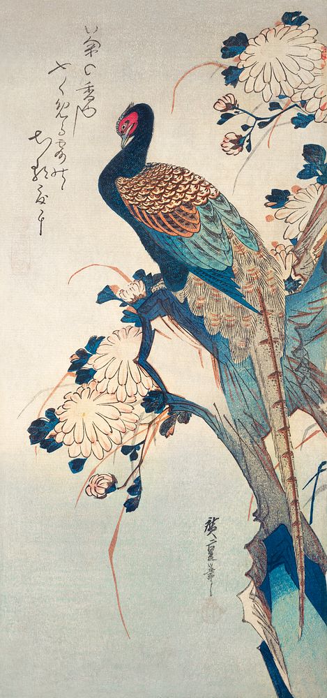 Japanese pheasant and chrysanthemums (1835) vintage woodblock print by Utagawa Hiroshige. Original public domain image from…