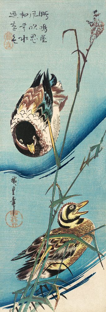 Mallard ducks (1843) vintage Japanese woodblock print by Utagawa Hiroshige. Original public domain image from The MET…