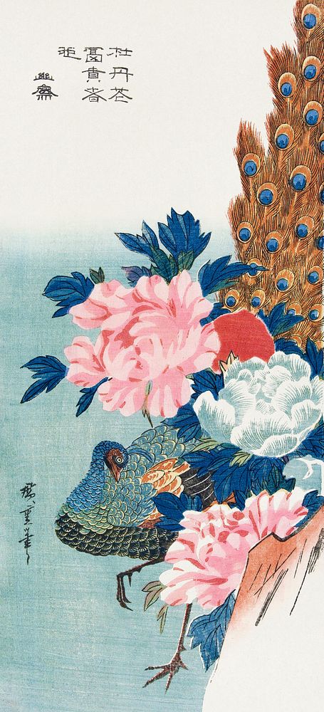 Peacock and peonies, vintage Japanese woodblock print by Utagawa Hiroshige. Original public domain image from the…