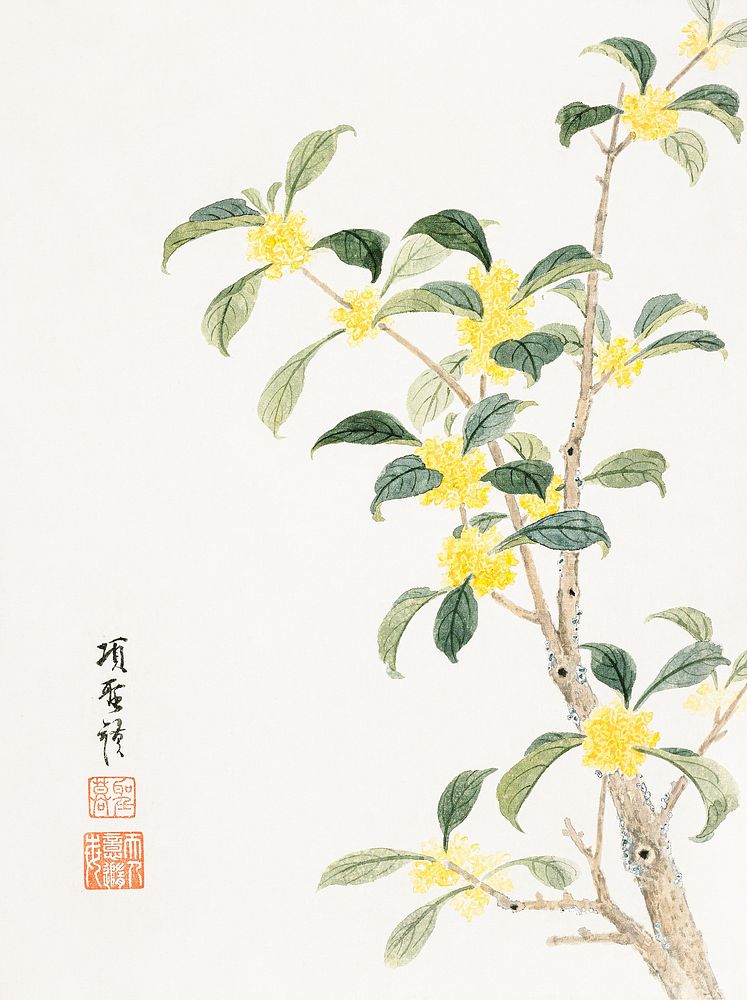 Cassia blossom (1656) vintage Chinese painting by Xiang Shengmo. Original public domain image from the Minneapolis Institute…