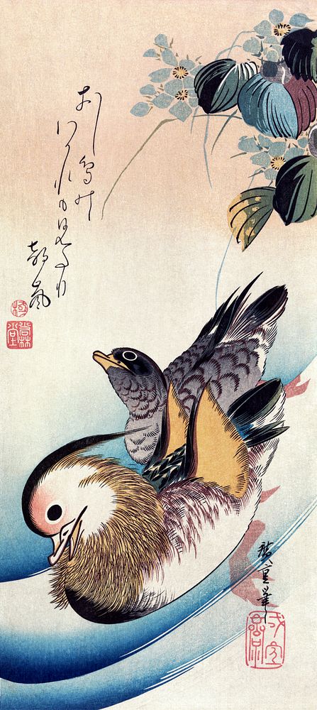 Mandarin ducks (1830-1858) vintage woodcut prints by Kansetsu Hashimoto. Original public domain image from Wikipedia.  …