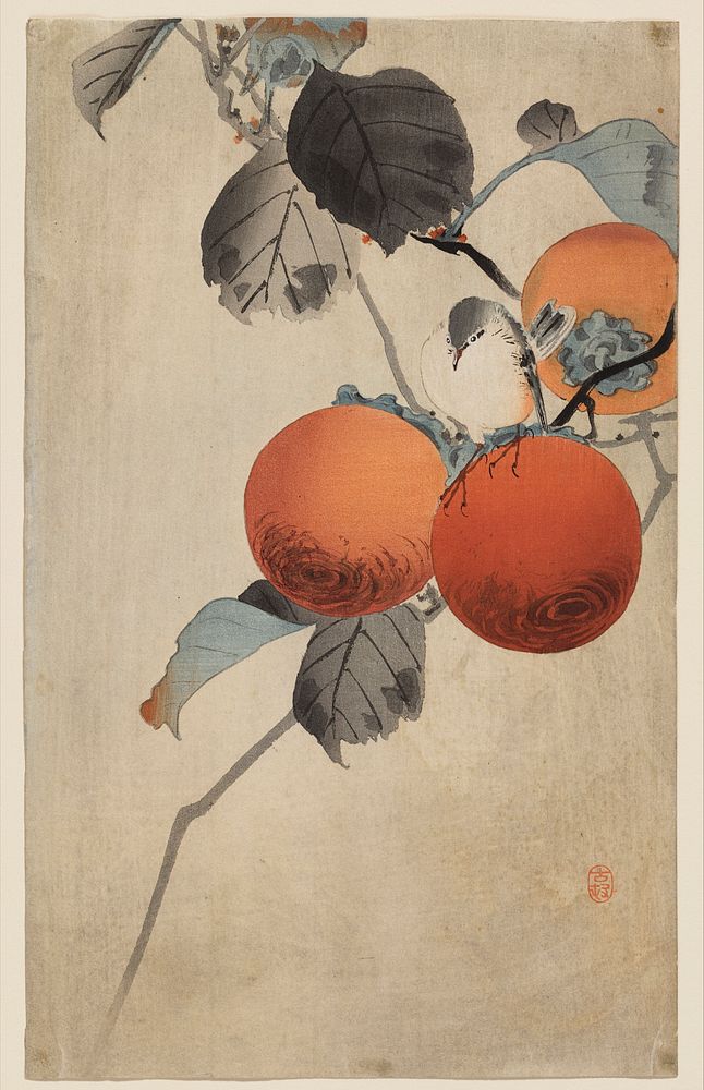 Nuthatcher atop Persimmons (ca. 1910) by Ohara Koson. 