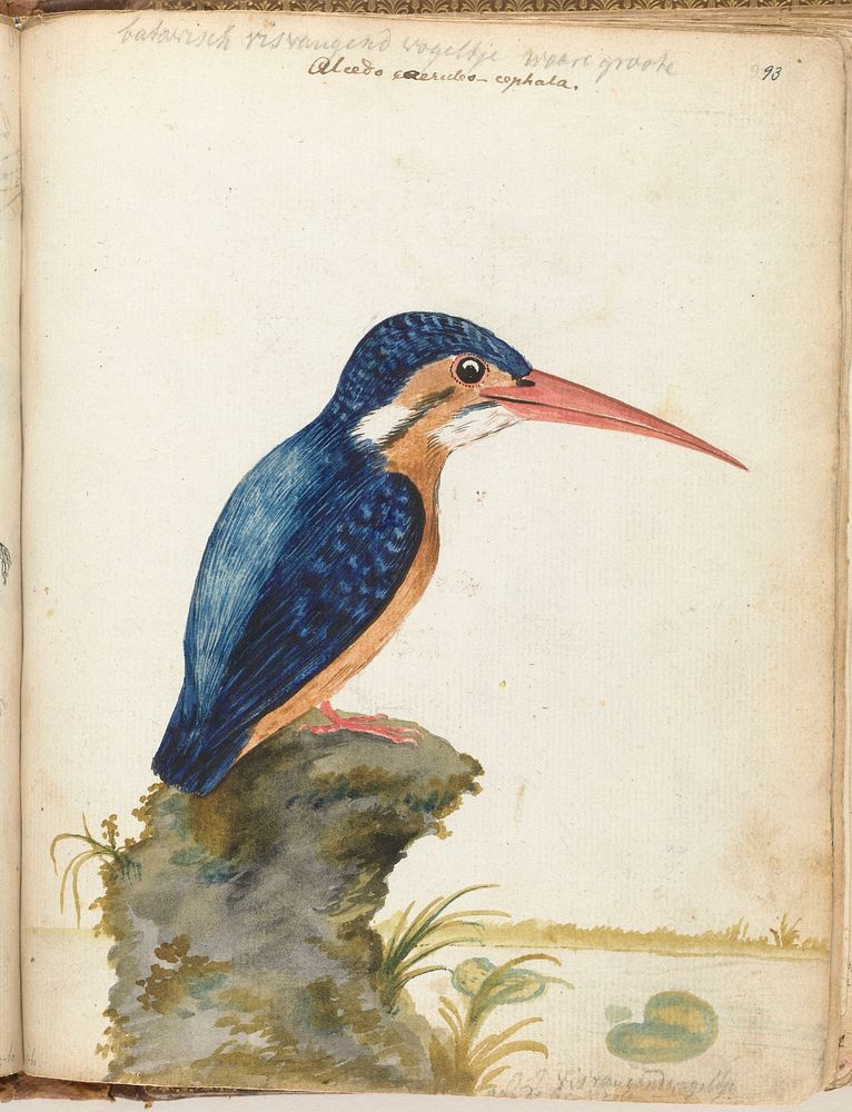 Original public domain image from the Rijksmuseum