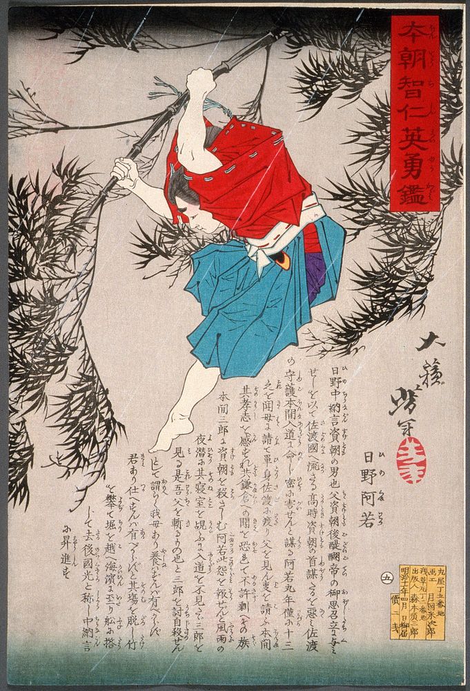 Hino Kumawaka Leaping from Bamboo (1878) print in high resolution by Tsukioka Yoshitoshi. Original from the Art Institute of…