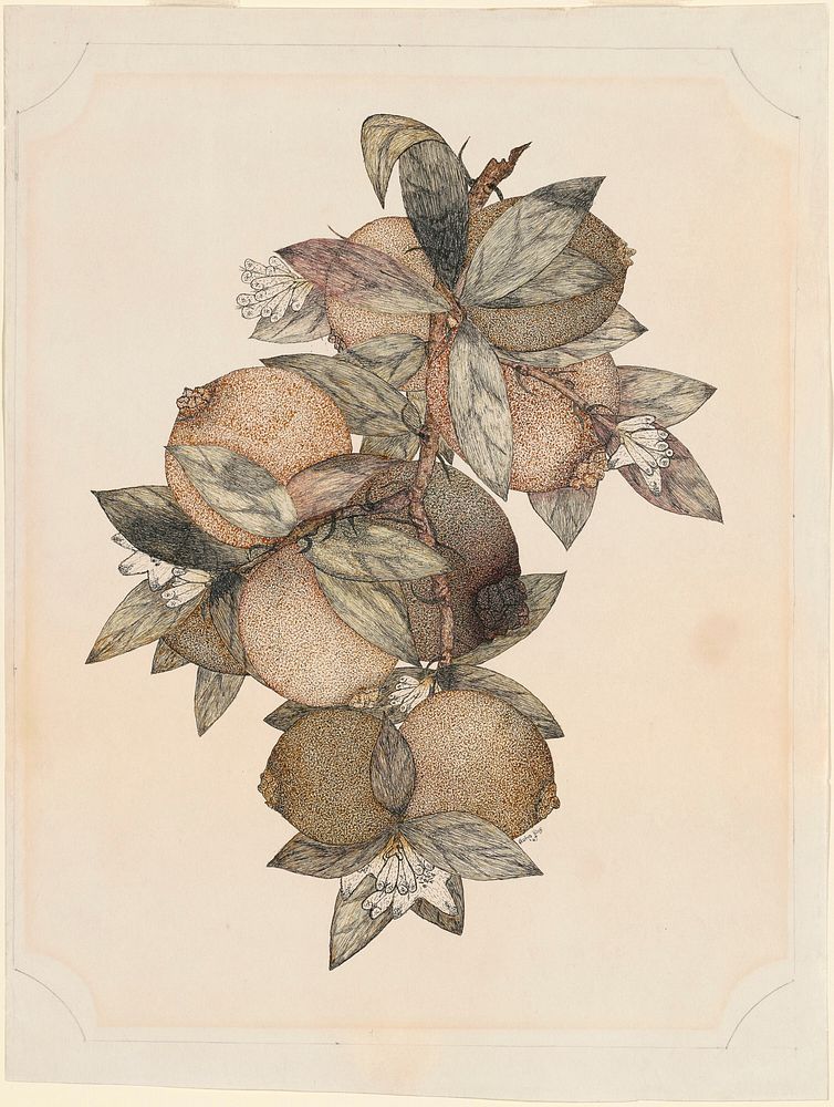 Pomegranate Fruit (1867) by Rufus King Original from The National Galley of Art.