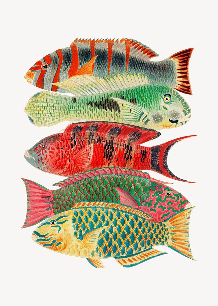 Fish illustration sticker, vintage design psd