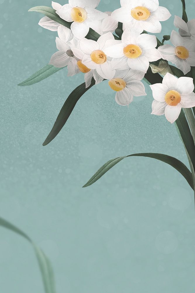 Easter background, daffodil border illustration