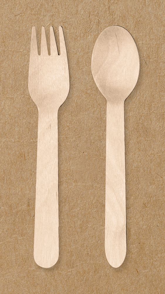 Wooden fork and spoon, biodegradable