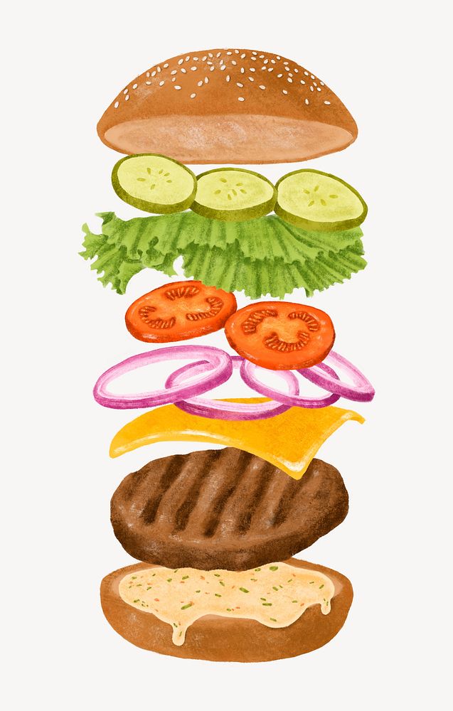 Hamburger anatomy, fast food illustration psd