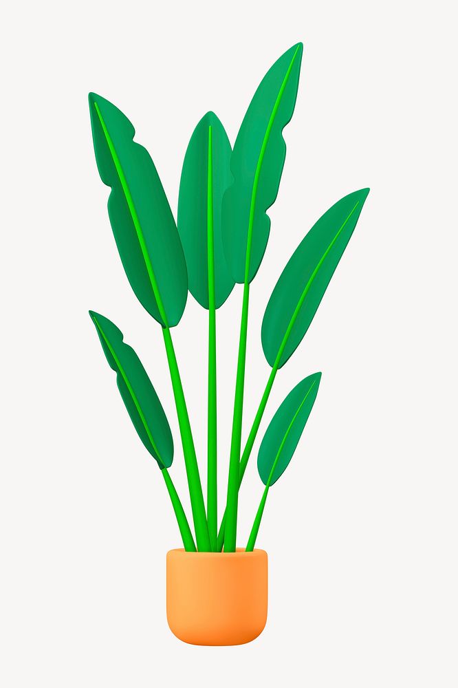 Houseplant 3D botanical illustration