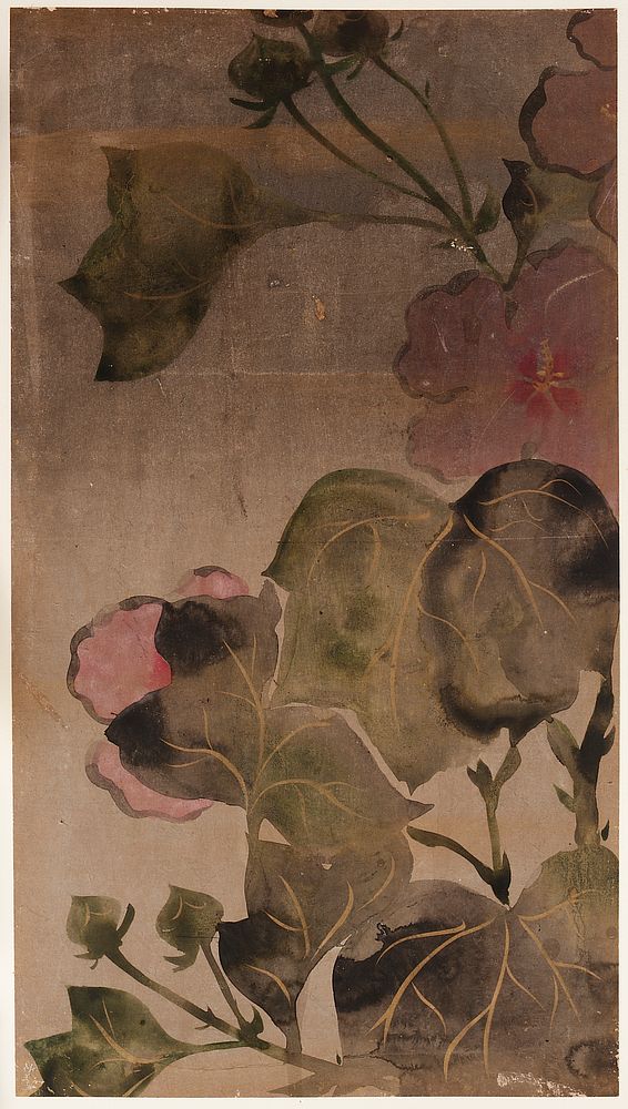 Hibiscus flowers and leaves