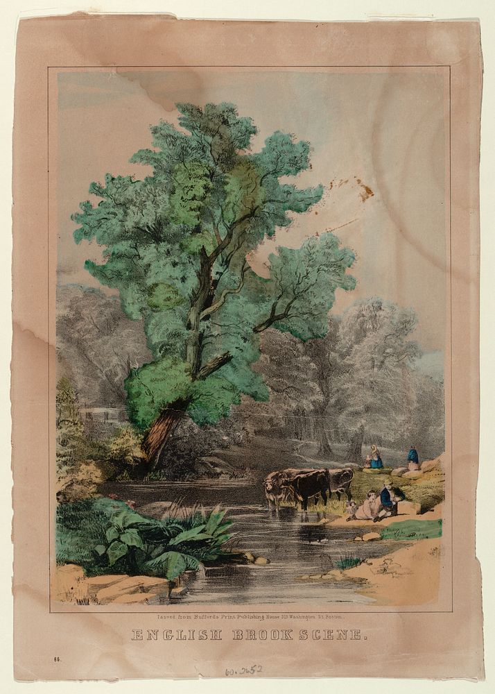 English Brook Scene