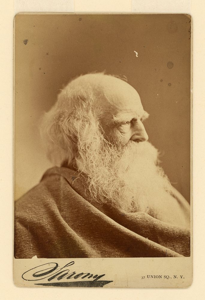 William Cullen Bryant