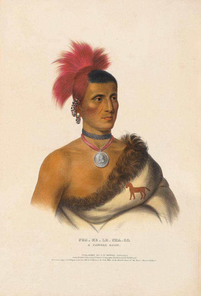 Pes-ke-le-cha-co - A Pawnee Chief