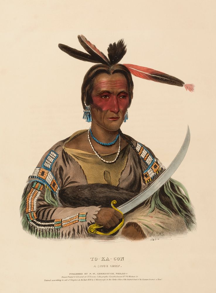 TO-KA-CON. A SIOUX CHIEF., from History of the Indian Tribes of North America