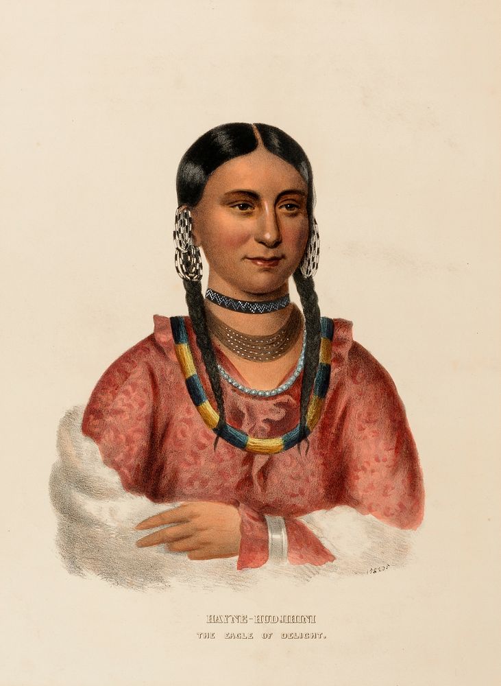 HAYNE-HUDJIHINI. THE EAGLE OF DELIGHT., from History of the Indian Tribes of North America