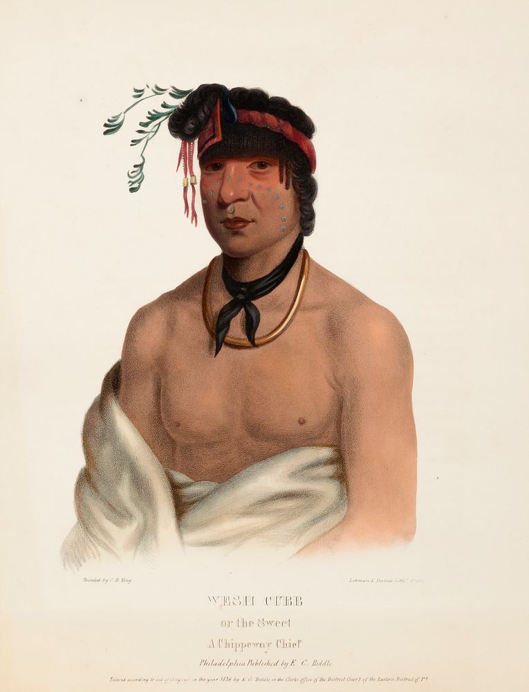 WESH-CUBB. A CHIPPEWAY CHIEF., From History of the Indian Tribes of North America