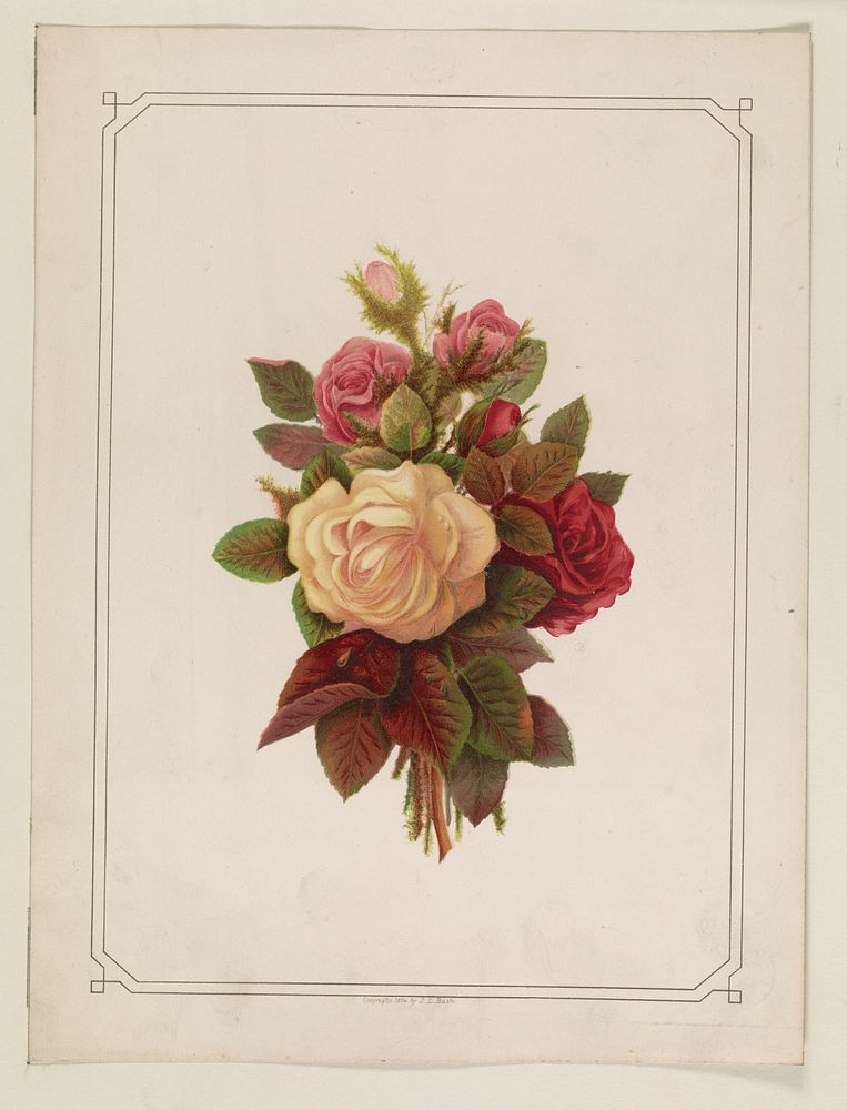 Roses (1874). Original from the Library of Congress.