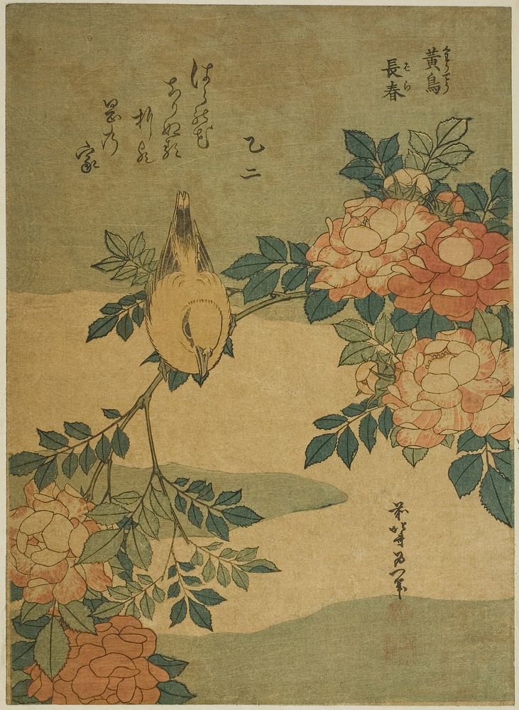 Hokusai's Warbler and Roses. Original from The Art Institute of Chicago.