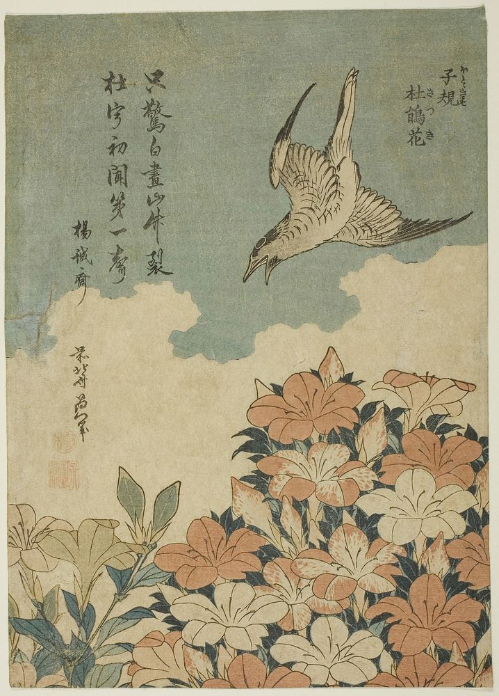 Hokusai's Cuckoo and Azaleas (Hototogisu, satsuki), from an untitled series known as Small Flowers (1834). Original from The…