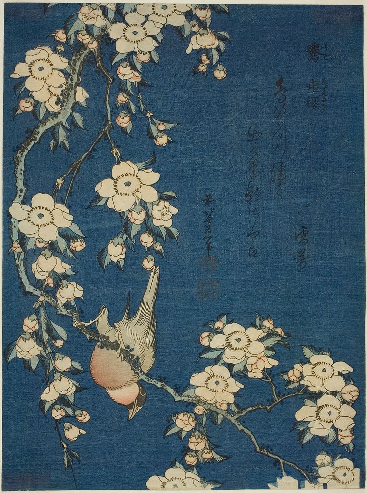 Hokusai's Bullfinch and weeping cherry blossoms. Original from The Art Institute of Chicago.