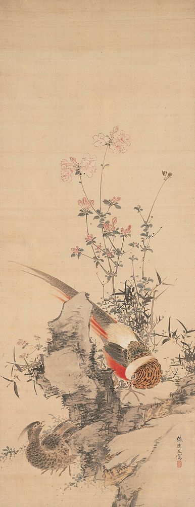 Flowers and Pheasants during 19th century painting in high resolution by Yamamoto Baiitsu. Original from the Minneapolis…