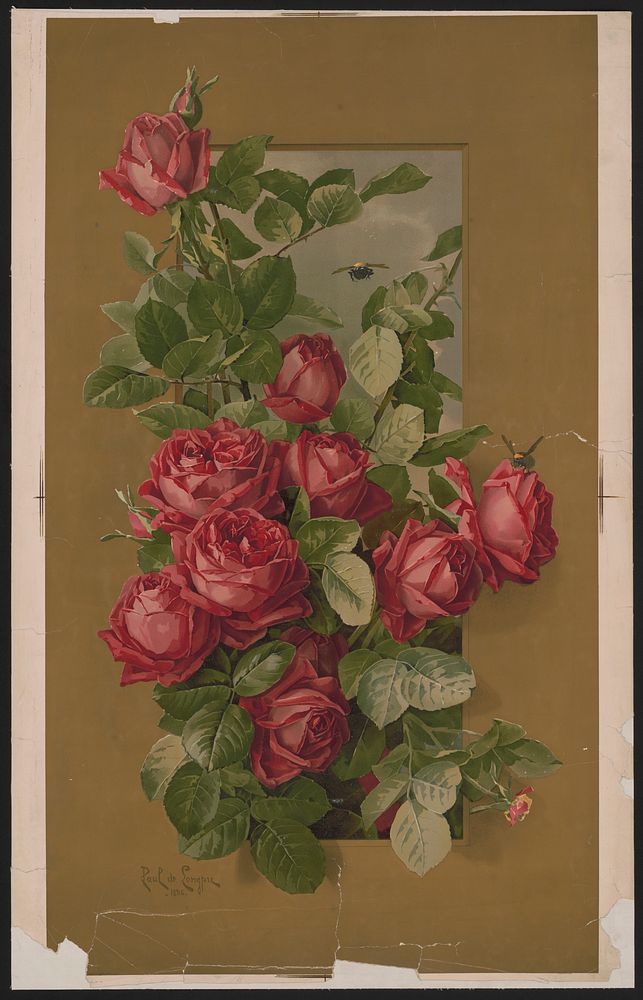 Red roses growing through a window (1896). Original from the Library of Congress.