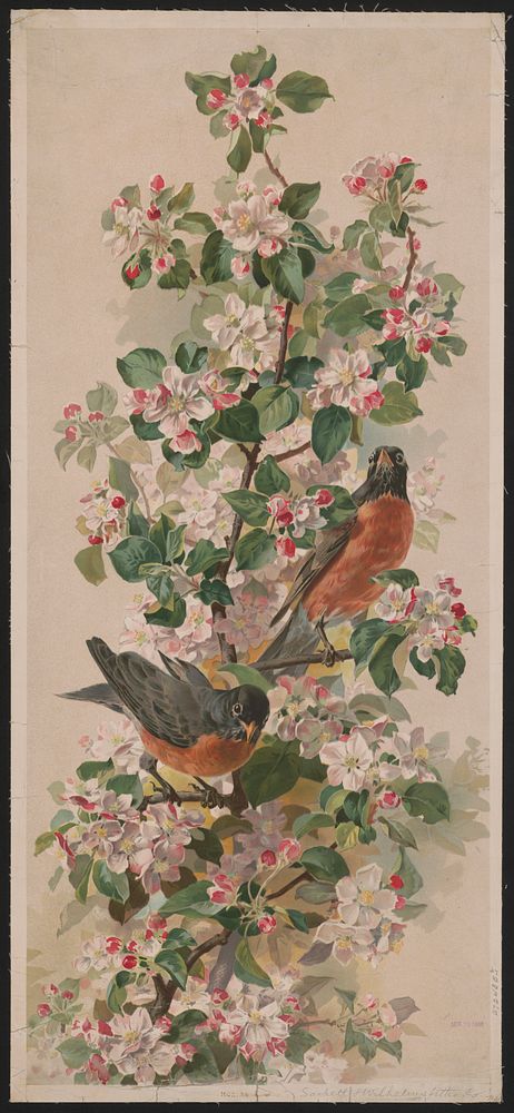 Flowers (1896). Original from the Library of Congress.