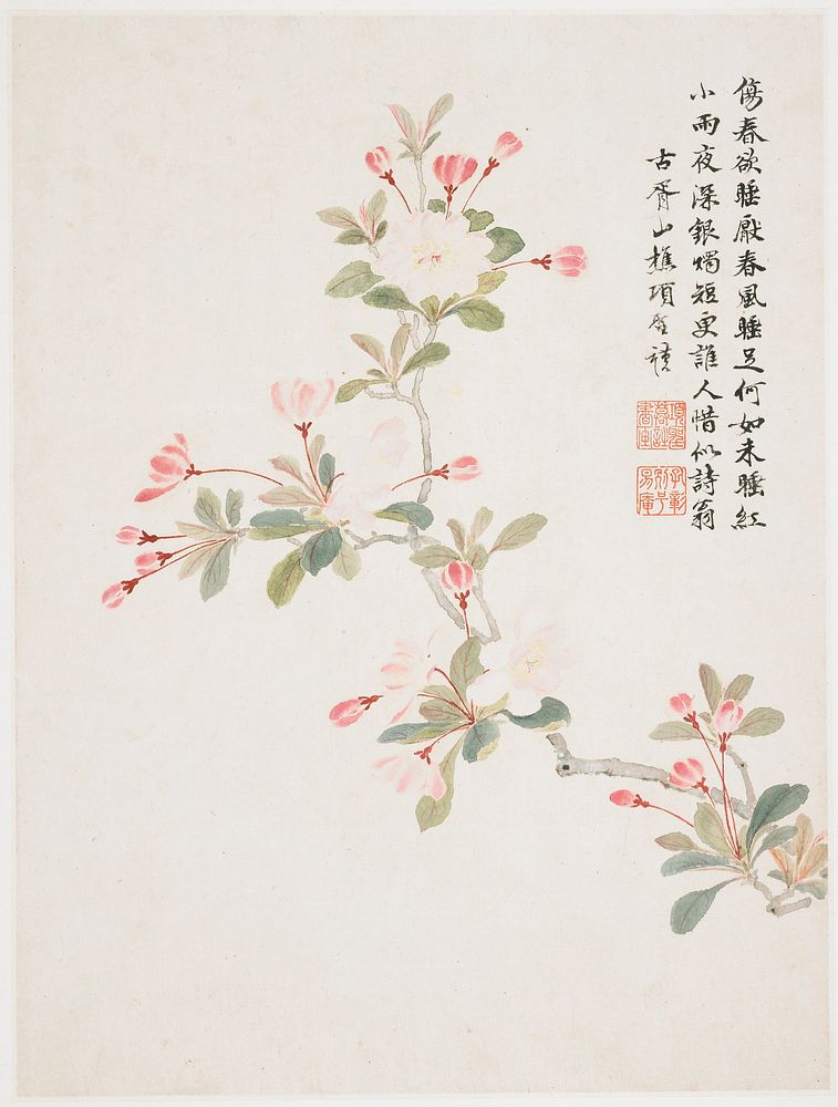 Crab-apple Blossom from a Flower Album of Ten Leaves (1656) painting in high resolution by Xiang Shengmo.  Original from the…