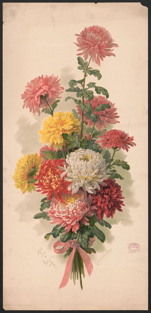 Chrysanthemums (1895). Original from the Library of Congress.