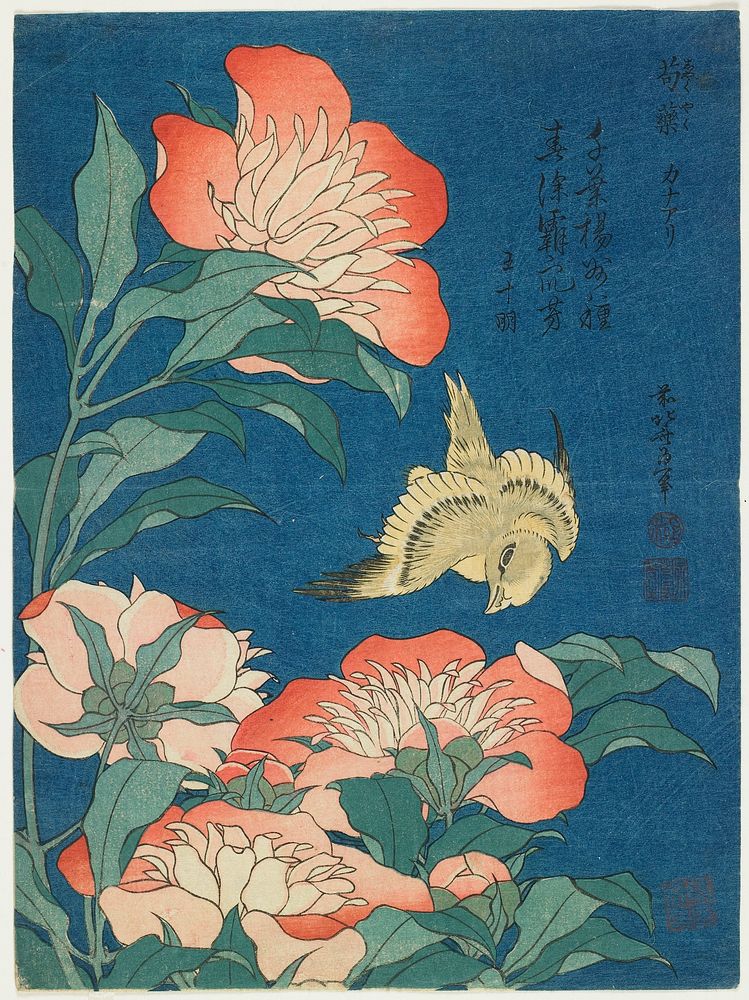 Peonies and Canary (ca.1834) in high resolution by Katsushika Hokusai. Original from The Minneapolis Institute of Art.…